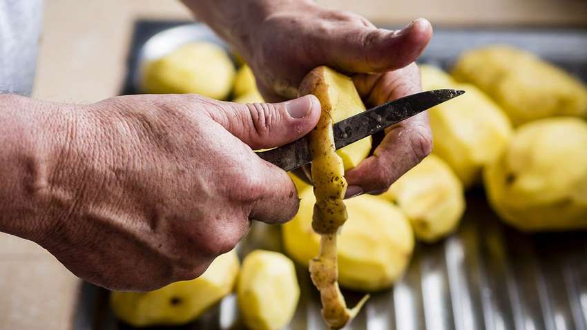 Чим не варто удобрювати картоплю, якщо хочете багатий урожай