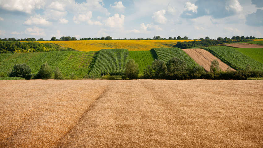 В Україні хочуть ввести новий податок 