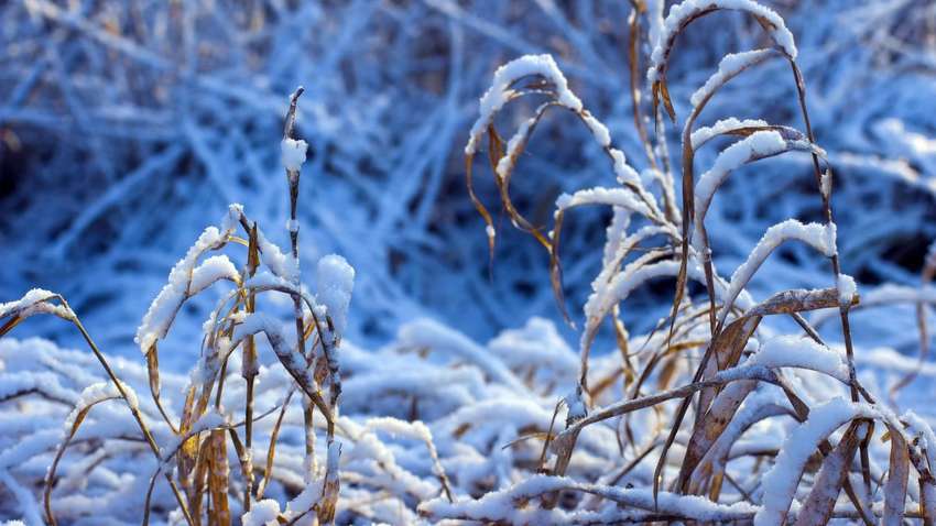 Ударит 5-градусный мороз и заметет снегом: где будет самая холодная погода в Украине