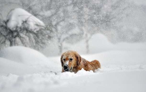 Зима близко: синоптик рассказала, ждать ли снега и 30-градусных морозов Зима близко: синоптик рассказала, ждать ли снега и 30-градусных морозов