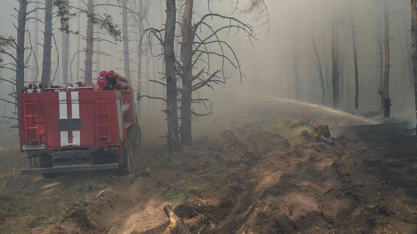 На Луганщині спалахнула лісова пожежа