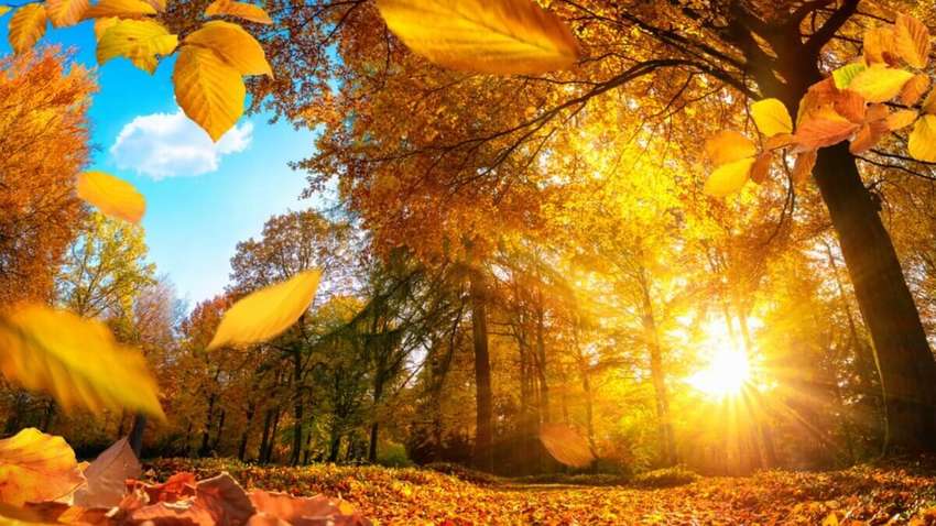 Якою буде погода у вересні: прогноз Укргідрометцентру Якою буде погода у вересні: прогноз Укргідрометцентру