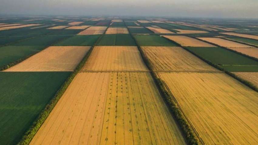 Рынок земли в Украине: названы регионы, где гектар стоит дороже всего Рынок земли в Украине: названы регионы, где гектар стоит дороже всего