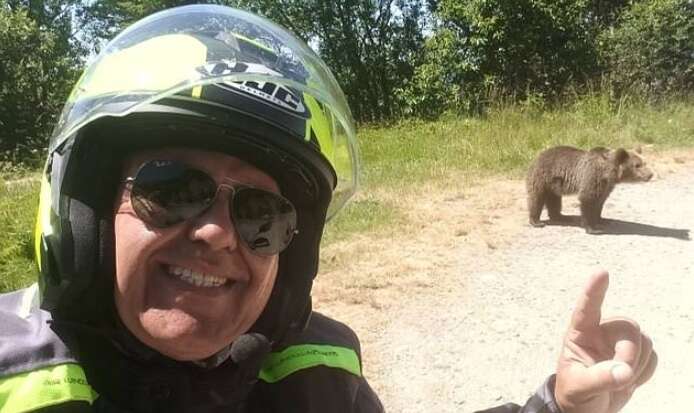 Турист совершил селфи с медведем: после этого произошла трагедия в Карпатах Турист совершил селфи с медведем: после этого произошла трагедия в Карпатах