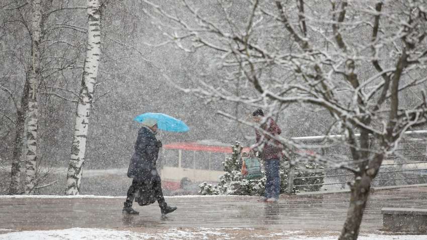 Синоптик дала прогноз погоды на 14 декабря