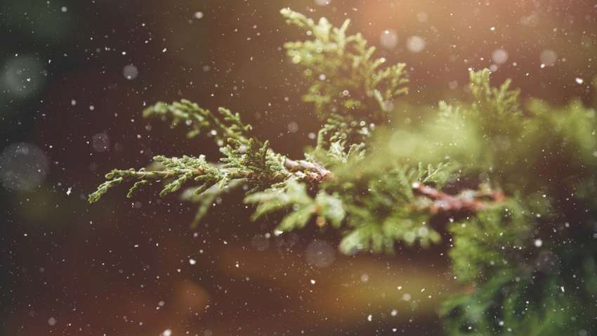 Украину накроют дождь и мокрый снег: синоптики обновили прогноз погоды на выходные