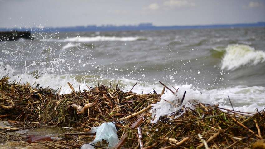Загрязнение Черного моря минами и мазутом: как война разрушает прибрежную экономику 