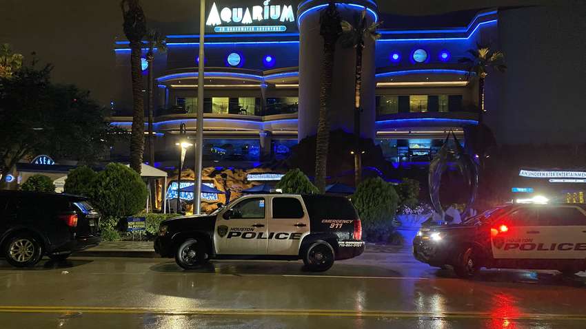 В США произошла стрельба в общественном месте: есть погибшие В США произошла стрельба в общественном месте: есть погибшие