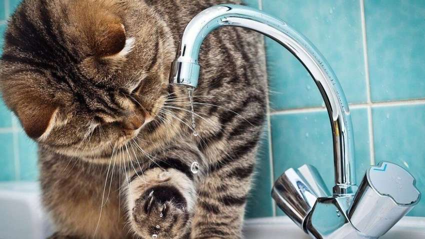 В одном из районов Одессы аварийно на трое суток отключат воду (АДРЕСА)