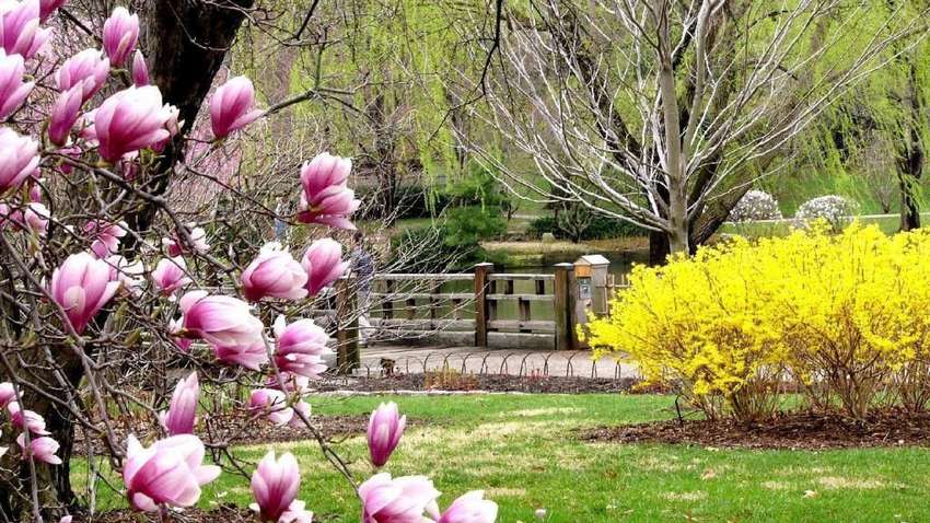 Прогноз погоды на 18 апреля: какая погода сегодня ожидает украинцев