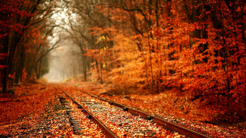 В начале недели в Украину ненадолго вернется тепло