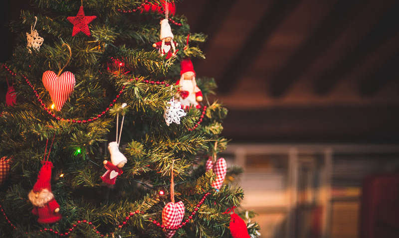 Коли ставити ялинку у 2024 році: експерти знайшли найкращий день Коли ставити ялинку у 2024 році: експерти знайшли найкращий день