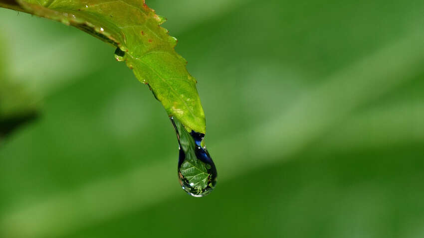 Какой церковный праздник 7 июля: что обязательно нужно сделать в этот день