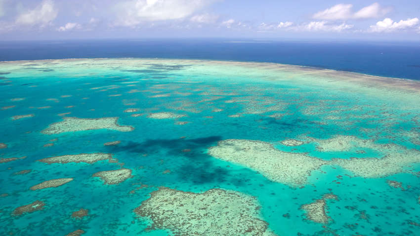 Великий бар'єрний риф пережив найбільше знебарвлення в історії Великий бар'єрний риф пережив найбільше знебарвлення в історії