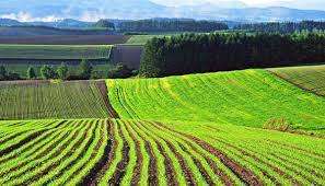 Запуск рынка земли в Украине: с какими условиями мы идем к земельной реформе