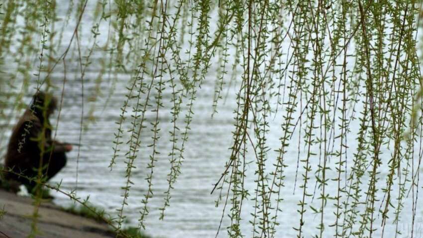 День Девяти целителей 29 апреля: что нельзя делать в этот день