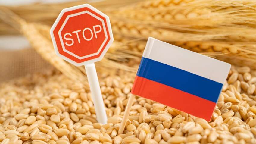 Россия потеряла один из ключевых рынков сбыта зерна: поставки в Иран внезапно остановились из-за военной эскалации на Ближнем Востоке Россия потеряла один из ключевых рынков сбыта зерна: поставки в Иран внезапно остановились из-за военной эскалации на Ближнем Востоке