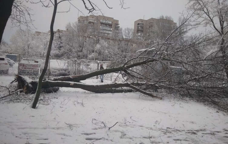 Негода в Україні: 600 селищ без світла і водії в сніжному "полоні"