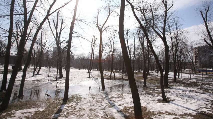 Церковный праздник 22 января: какая примета в этот день обещает богатый урожай и сытое лето
