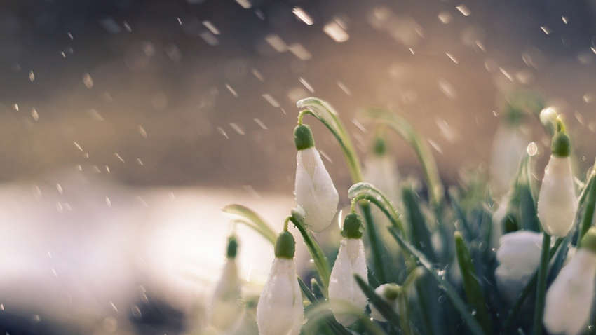 Погода на 18 травня: в які області прийде похолодання та дощі Погода на 18 травня: в які області прийде похолодання та дощі