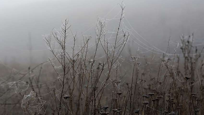 В Украину  идут морозы до -10 градусов: в каких регионах будет холодно