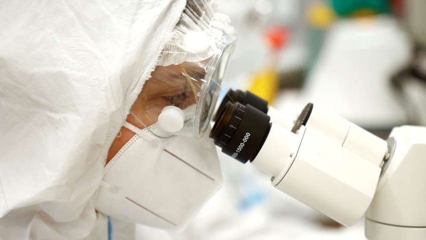 Біолог розкрила причини мутації COVID-19 