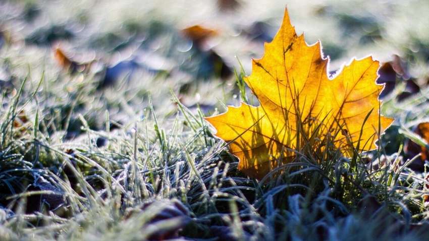 Ударит -20 и завалит снегом: где в Украине будет очень холодно в ноябре 2023 Ударит -20 и завалит снегом: где в Украине будет очень холодно в ноябре 2023