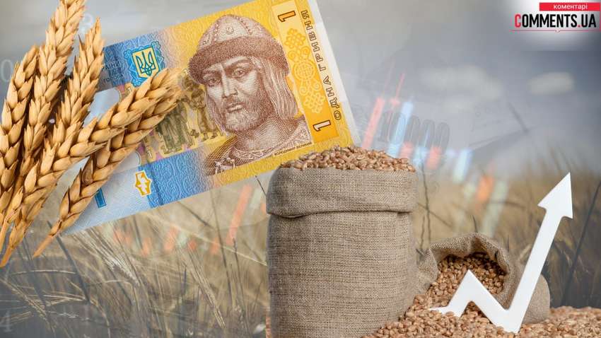 Зерновий бізнес України, підсумки 2024 року: урожай зменшився, прибутки зросли