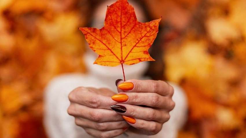 Стильно и лаконично: какой маникюр сделать в ноябре (ФОТО) Стильно и лаконично: какой маникюр сделать в ноябре (ФОТО)