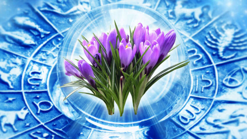 Весна стартує з сюрпризу для деяких знаків Зодіаку: ранок 1 березня може перевернути ваші плани