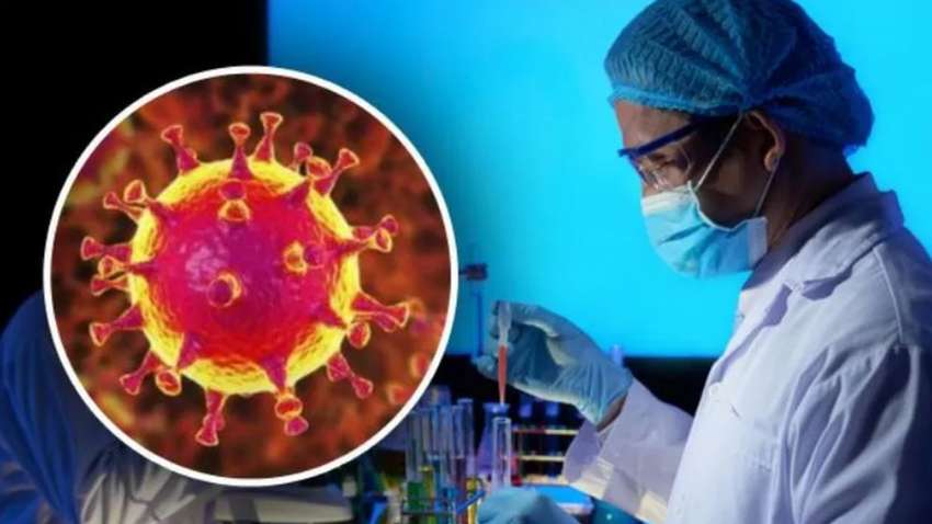 Появились официальные данные, кто распространил COVID-19 по миру