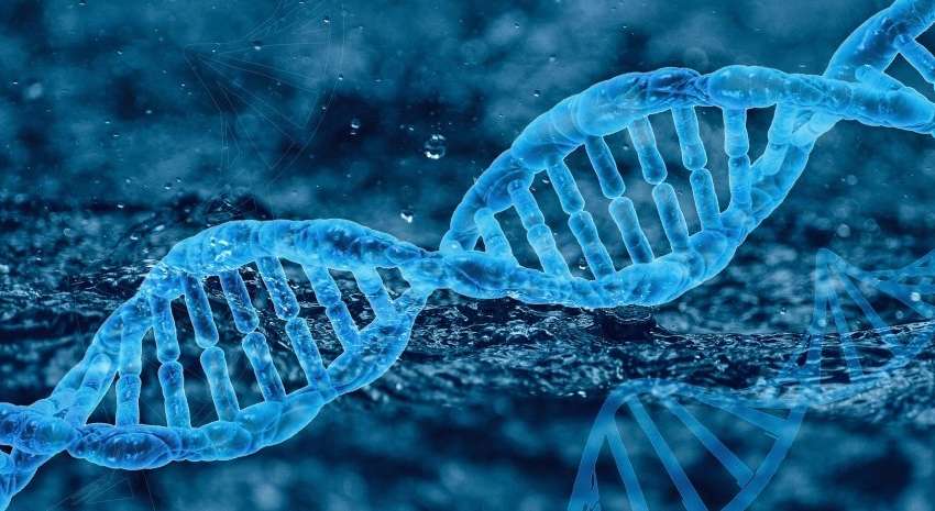 Теорию Дарвина объявили ошибкой: учёные предложили новую версию эволюции