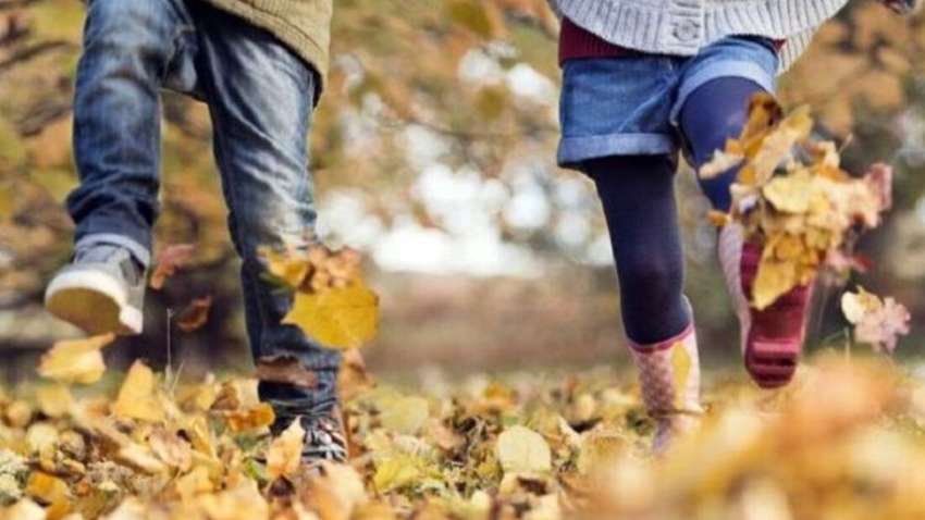 Украинские синоптики обнародовали прогноз на октябрь: что будет с погодой в стране