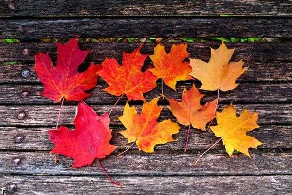 Синоптики сообщили прогноз погоды на 25 октября