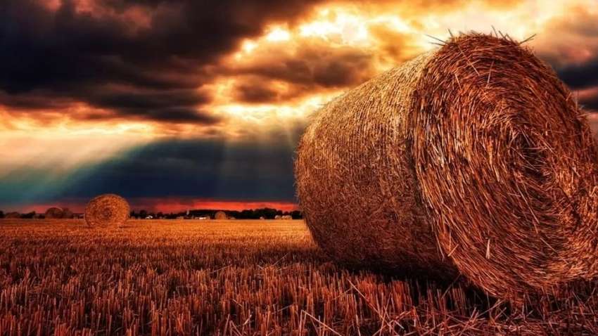 Якою буде погода, розповіли синоптики 