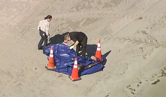 На популярном туристическом пляже нашли человеческую голову На популярном туристическом пляже нашли человеческую голову