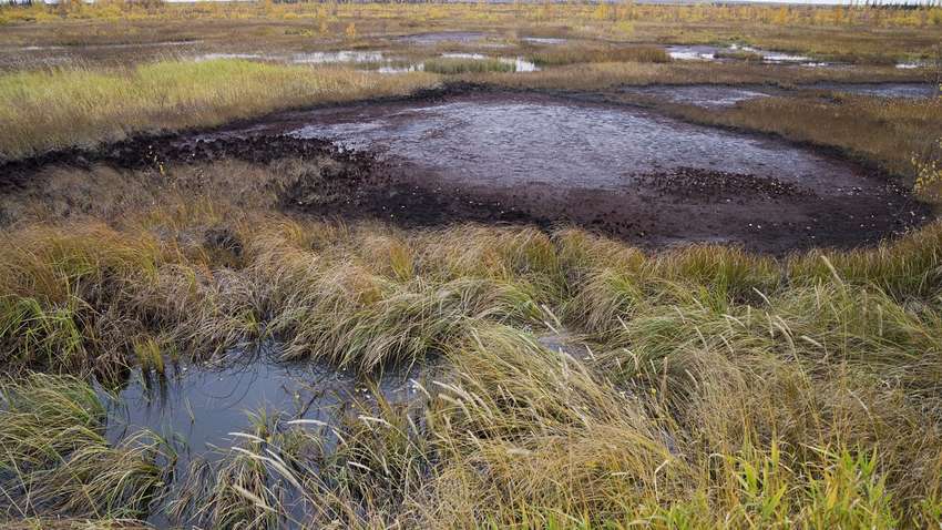 Россия "тонет" в нефти: в двух регионах объявлено ЧС