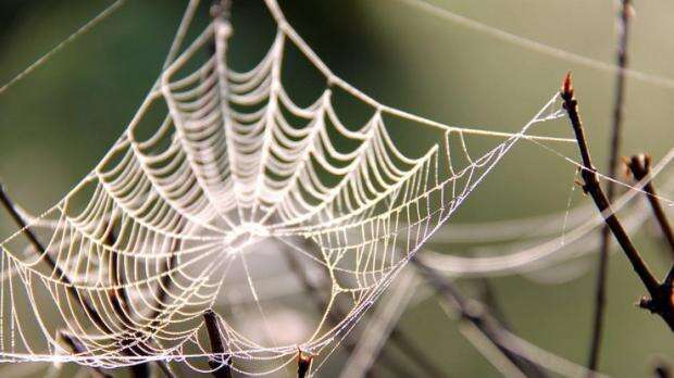 Радітиме навіть Сі: яку деталь із операції «Павутина» на Заході смакують найбільше