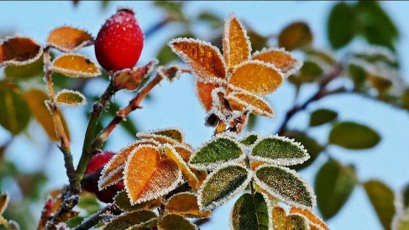 Україну накриє потужний арктичний циклон: якою буде погода на вихідні Україну накриє потужний арктичний циклон: якою буде погода на вихідні