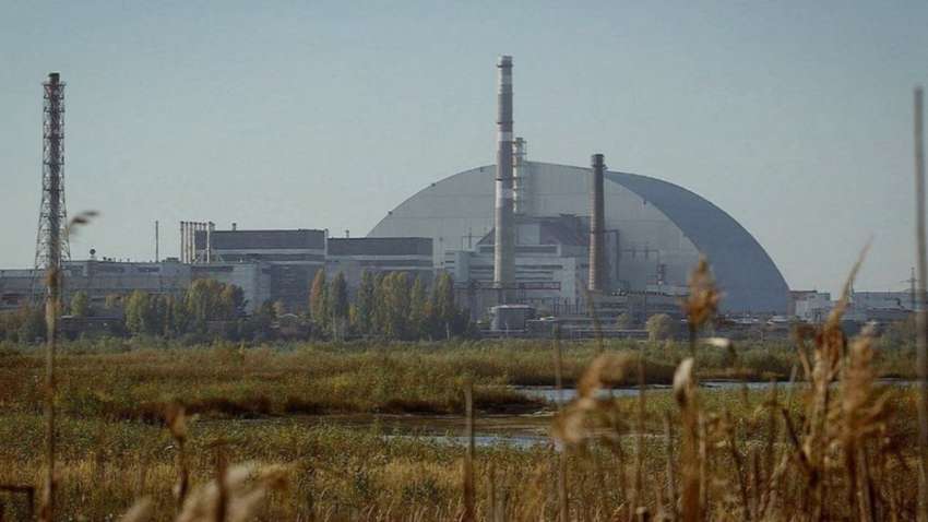 На території Чорнобиля виявили загадкові сліди: експерти знайшли пояснення На території Чорнобиля виявили загадкові сліди: експерти знайшли пояснення