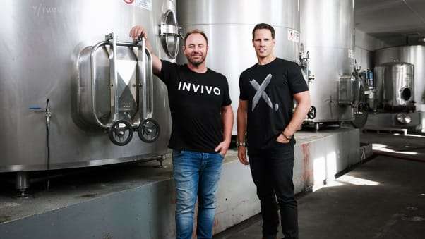 У Новій Зеландії запустили першу у світі виноробну авіакомпанію: як вона працюватиме