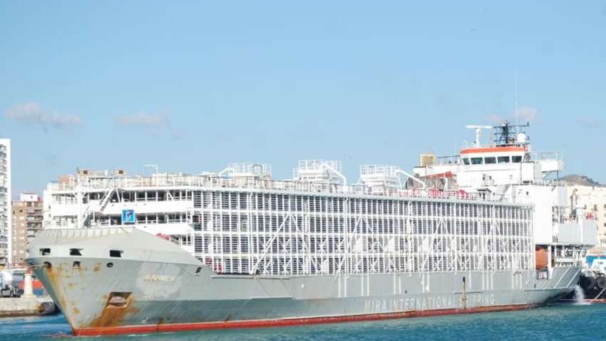 У берегов Японии затонуло огромное судно с экипажем и животными У берегов Японии затонуло огромное судно с экипажем и животными