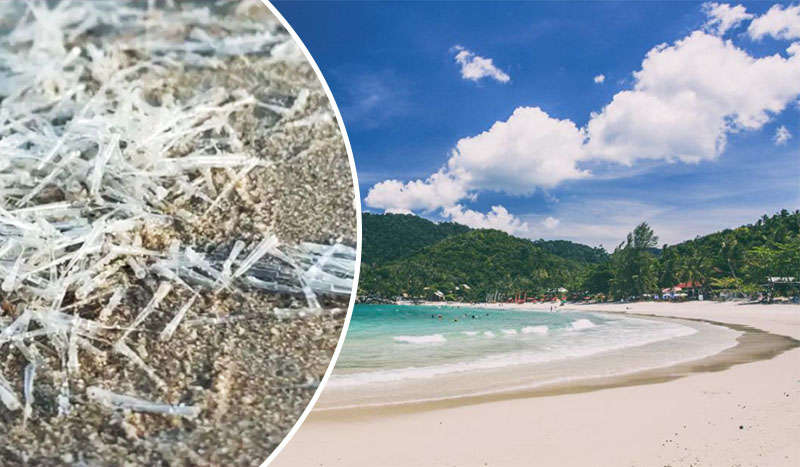 Туристи тікають з тайського пляжу: усе через таємничих голчастих істот