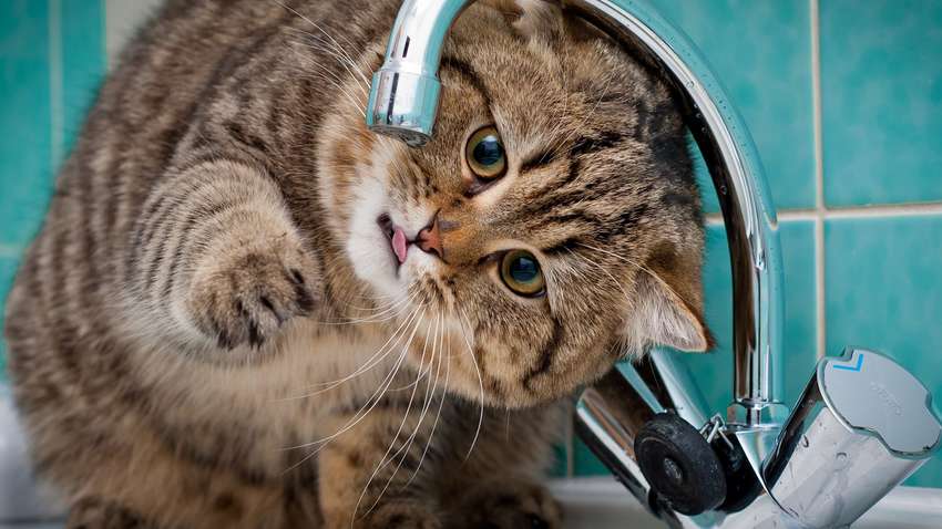 На 12 часов тысячи одесситов останутся без воды: полный список адресов На 12 часов тысячи одесситов останутся без воды: полный список адресов