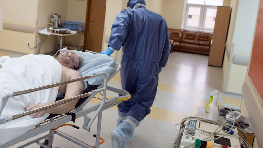 Ковид у пациентов лечат препаратом от глистов для лошадей: врачи в панике