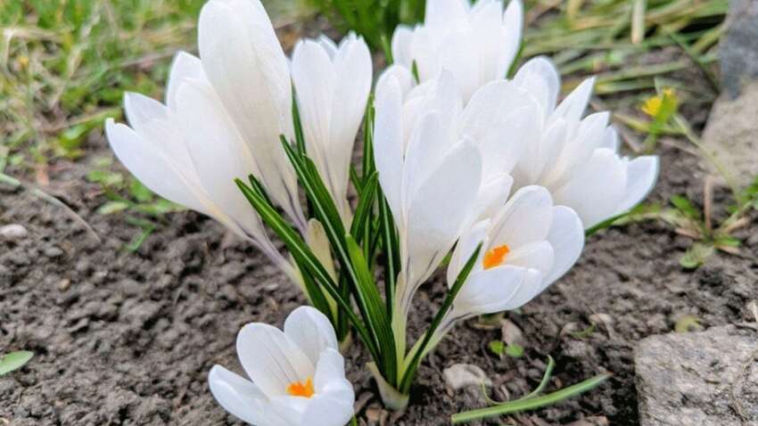 Украинцев ждет крайне неприятный погодный сюрприз: стали известны даты Украинцев ждет крайне неприятный погодный сюрприз: стали известны даты