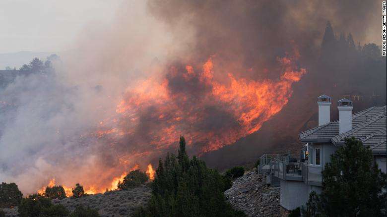 У США з новою силою спалахують лісові пожежі