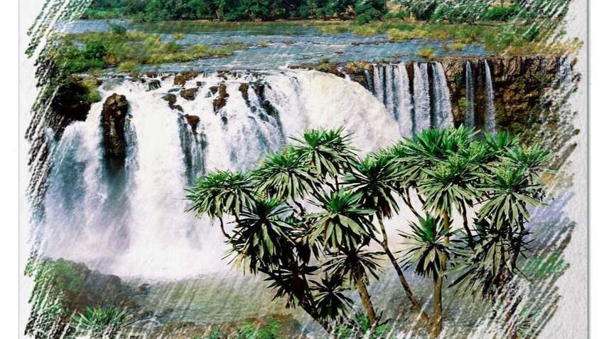 Каналы Discovery будут вещать в Тропической Африке Каналы Discovery будут вещать в Тропической Африке