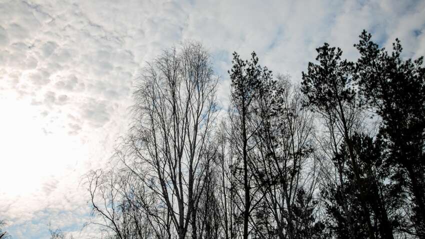 Церковный праздник 24 марта: что можно и нельзя делать перед Благовещением