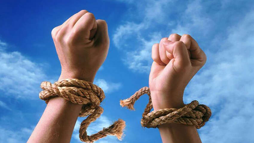 Жили в хлеву с животными: на Волыни трое мужчин попали в рабство к пенсионерке (ФОТО)